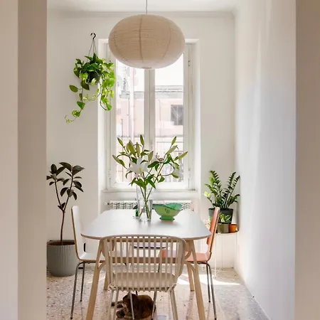 Your Nest In Rom