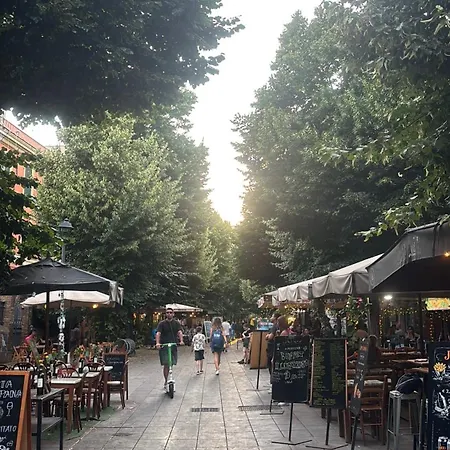 Your Nest In Rome